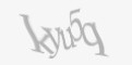 Қорғаныс коды